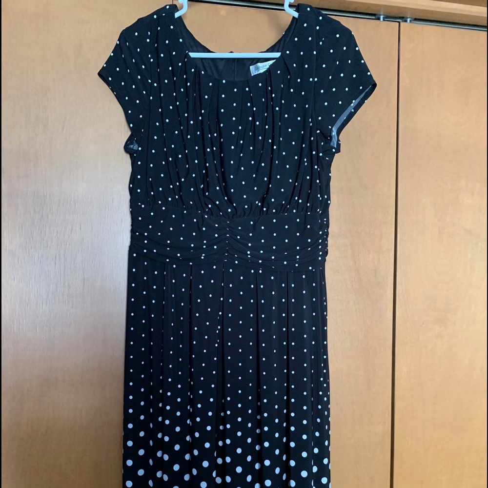 Coldwater creek women’s dress